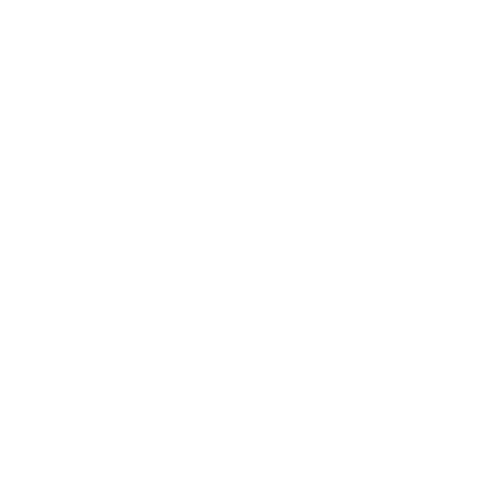 Anthropic